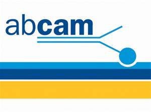 کیتها و آنتی بادیهای Abcam