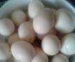 فروش تخم مرغ محلی نطفه دار و خوراکی