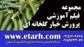 مجموعه فیلم آموزشی پرورش خیار گلخانه ای