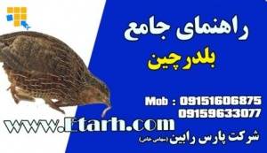 راهنمای جامع پرورش بلدرچین