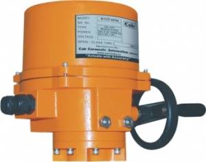 electric rotary actuators