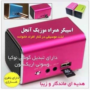 یک اسپیکر جالب و همه کاره که هم یک رادیوی دیجیتالی قوی FM