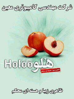 نرم افزار حسابداری هلو - www.HolooHesab.com