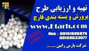 ارزیابی طرح توجیهی پرورش و بسته-بندی قارچ