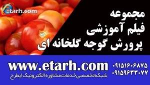 مجموعه فیلم آموزشی پرورش گوجه گلخانه ای