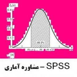 مشاوره در انجام تحقیقات پیمایشی با spss