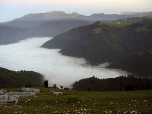 فروش زمین در شمال کشور