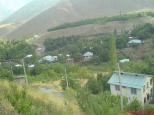 باغچه فروشی در جاده چالوس