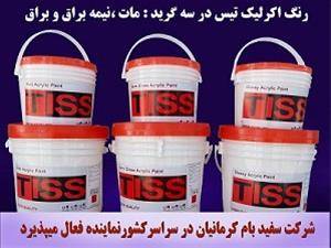 رنگ اکریلیک (داخلی و خارجی) Tiss  Paint 780