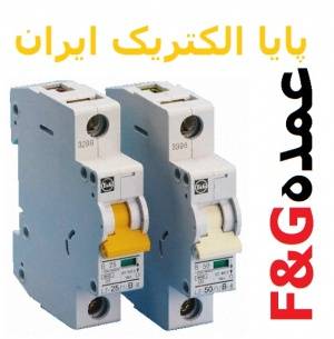 مشخصات کلید فیوز مینیاتوری F&G