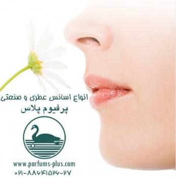 شرکت اشتادمهر، واردکننده انواع اسانس عطری و اسانس صنعتی از پرفیوم پلاس فرانسه