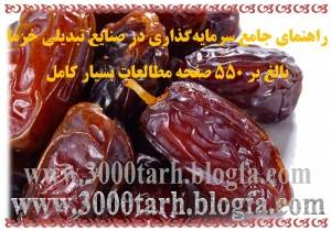 طرح توجیهی خرما، شیره، سرکه، الکل، شربت، لواشک و قند از خرما و بسته بندی خرما www.3000tarh.blogfa.com