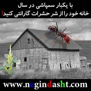 موریانه زدای با کارت گارانتی معتبر