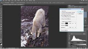 آموزش اصلاح مشکلات رنگی در Photoshop CC