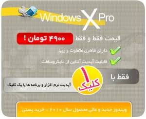 Windows X pro 2010