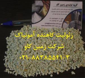 خرید و فروش زئولیت zeolite زمین کاو جهت کاهش آمونی