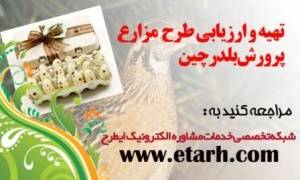 تهیه طرح توجیهی پرورش بلدرچین