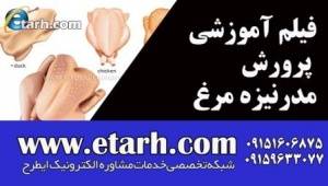 فیلم آموزشی پرورش مدرنیزه مرغ