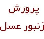 طرحهای توجیهی پرورش زنبور عسل با ظرفیت های مختلف