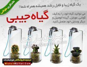 گیاهی کوچک همیشه همراه شما