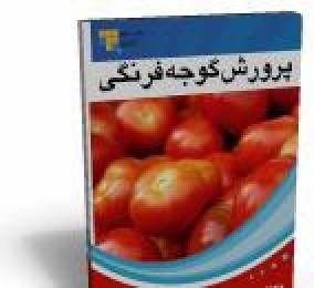 مجموعه فیلم آموزشی پرورش گوجه گلخانه ای