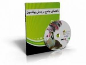 راهنمای جامع پرورش بوقلمون