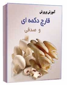 آموزش پرورش قارچ حتی در منزل ، پرورش قارچ دکمه ای و صدفی و کسب درآمد