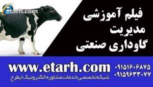 فیلم آموزشی مدیریت گاوداری صنعتی