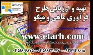 تهیه طرح توجیهی پرورش ماهی قزل آلا