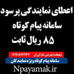 اعطای نمایندگی پرسود با نرخ ارسال 85 ریال npayamak.ir