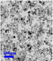 فروش نانو اکسید مس , nano Copper oxide