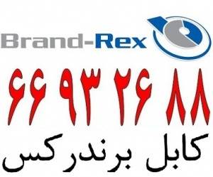 کابل شبکه برندرکس Brandrex || 66932635