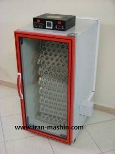 جوجه کشی مرغ و بوقلمون و شتر مرغ