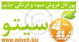 بزرگترین کشت کنند گوجه در ایران