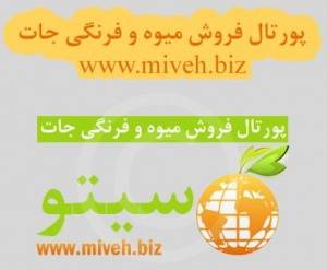 وب سایت فروش میوه و فرنگی جات