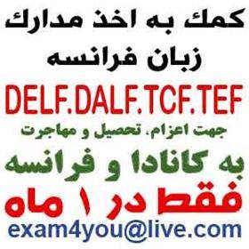 اخذ مدارک زبان فرانسه DELF و DALF