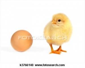 Do you think that your chicken poultry respected what she wants and you do not have it in him?