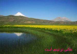 زمین درمنطقه اسب چران