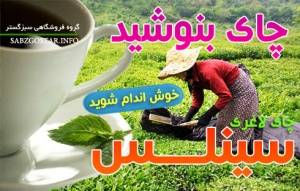 لاغری آسان و سالم چای لاغری /سینلس