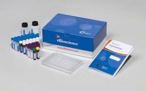 Rat IL-6 Platinum ELISA Cat.