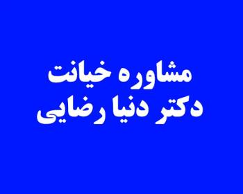 مشاوره خیانت در تهران