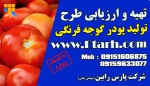 ارزیابی طرح توجیهی پودر گوجه