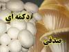 آموزش ویدیویی و تصویری پرورش انواع قارچ شامل نه سی دی