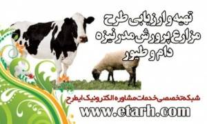 تهیه طرح توجیهی گاوداری شیری