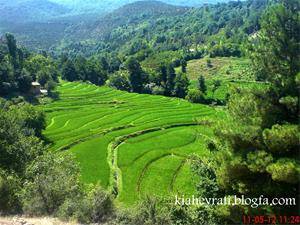 فروش زمین در نوشهر وروستاهای نوشهر