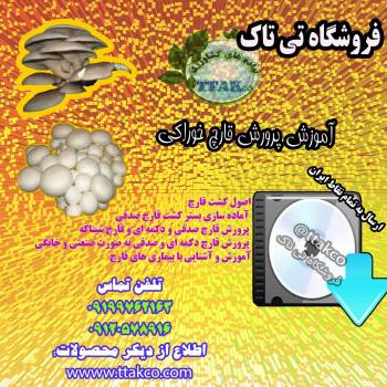 سی دی پروش قارچ خوراکی 09199762163