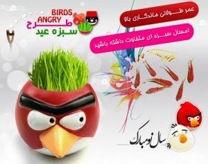 سبزه عید طرح ANGRY BIRDS