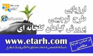 تهیه طرح توجیهی پرورش خیار گلخانه ای