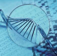 سنتز پرایمر و تعیین توالی (Primer synthesis &DNA sequencing)