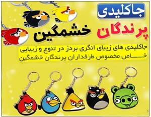 جا کلیدی پرندگان خشمگین Angry Birds